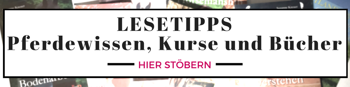 Pferdeprofi Sandra Schneider erklärt wie Pferde lernen wollen 1