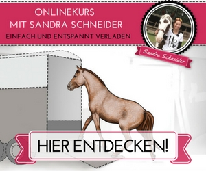 banner_video-sandra_rechteck