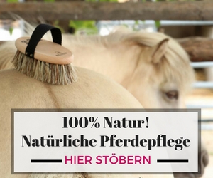 Pferd widersetzt sich: Was tun wenn das Pferd so deutlich „Nein“ sagt 2