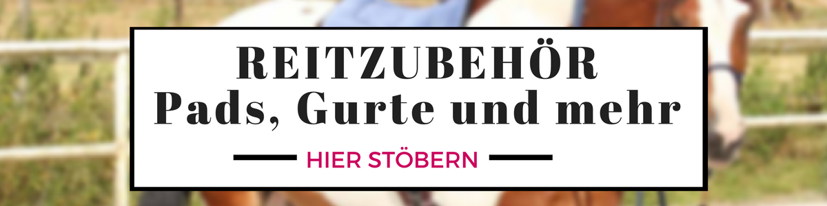 Von "F" wie Freiheitsdressur bis "f" wie feines Reiten – Kenzie Dysli im Interview 3