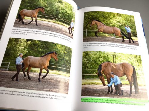 Wolfgang Marlies Cover Pferde wie von Zauberhand bewegt blick ins Buch Bilderstrecke