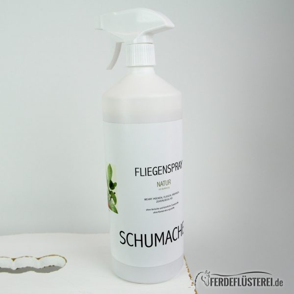 Sprche Vertrauen Pferd Ber 80 Sprche Vertrauen Pferd Ber 80