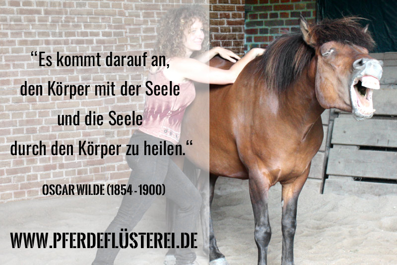 Shiatsu Massage fürs Pferd: Weil sie Körper und Seele des Pferdes gut tut 1 Shiatsu Massage Pferd