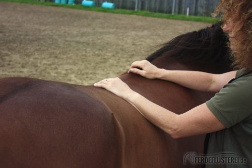 Massage Rücken