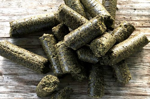 Hanf Pferde Pellets Hanfino