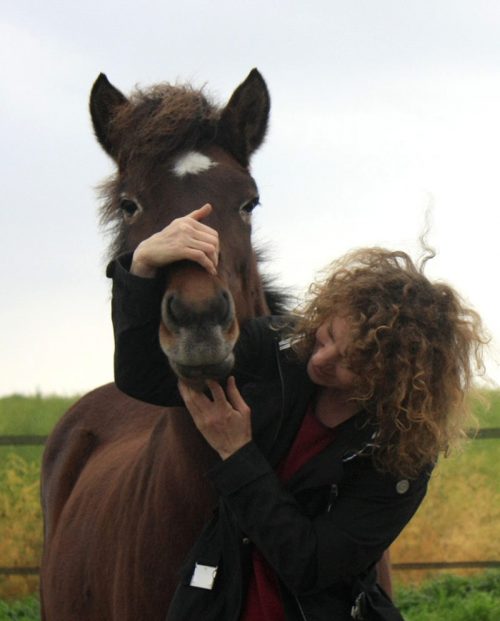 LEberpferd PFerde Shiatsu