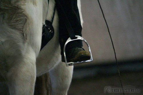 Bent Branderup Kurs akademische Reitkunst