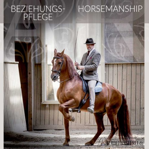 Beziehungspflege Horsemanship Buch Bent Branderup Cover Müller Rüschlikon