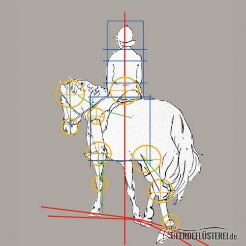 SAlly Swift Centered Riding Buch MÜller Rüschlikon