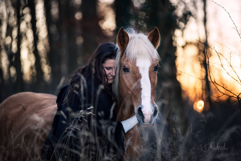 Schöne Bilder Pferd Und Mensch