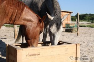 Stallwechsel Pferd Carey Fohlenhof Heutoy Heufresser