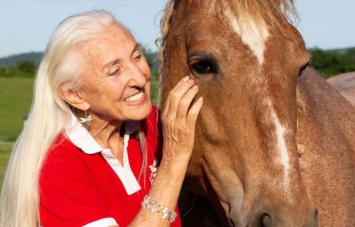 Linda Tellington Jones Bodenarbeit