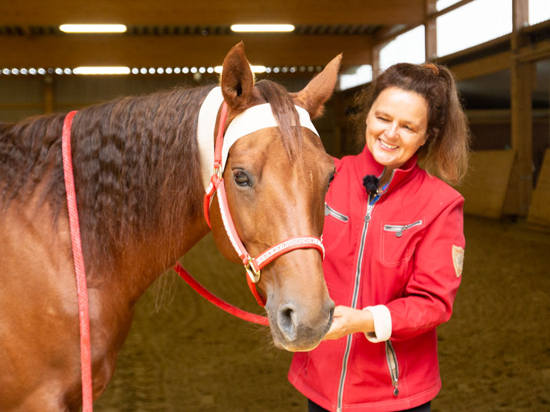 Anke Recktenwald Balance Pads Körperbänder Tellington