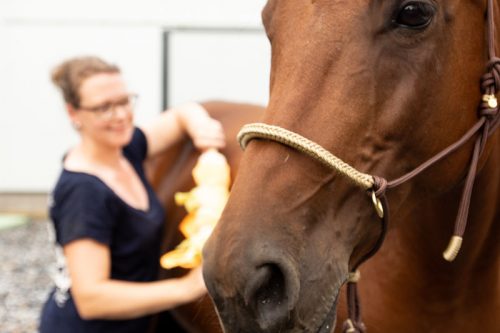 Pfergo Pferdeergotherapie Team Shettysport