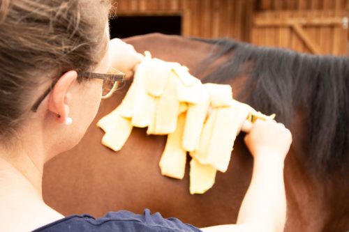 Pfergo Pferdeergotherapie Team Shettysport