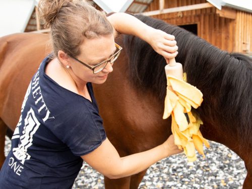 Pfergo Pferdeergotherapie Team Shettysport