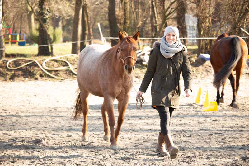 Bodenarbeit mit dem Pferd - bzw. Pause ;-)