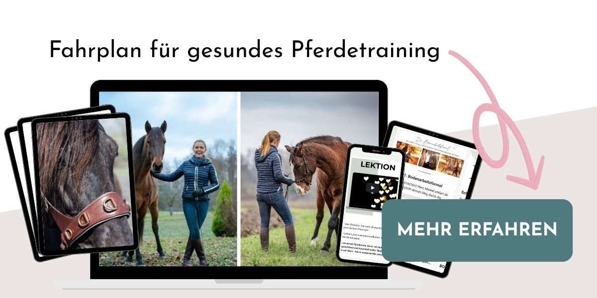 4 geniale Übungen für einen gesunden und starken Pferderücken 1 BodenarbeitsCLUB Banner
