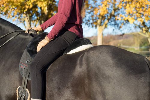 4 geniale Übungen für einen guten Pferderücken 3 Reiten-lammfellsattel-Premium