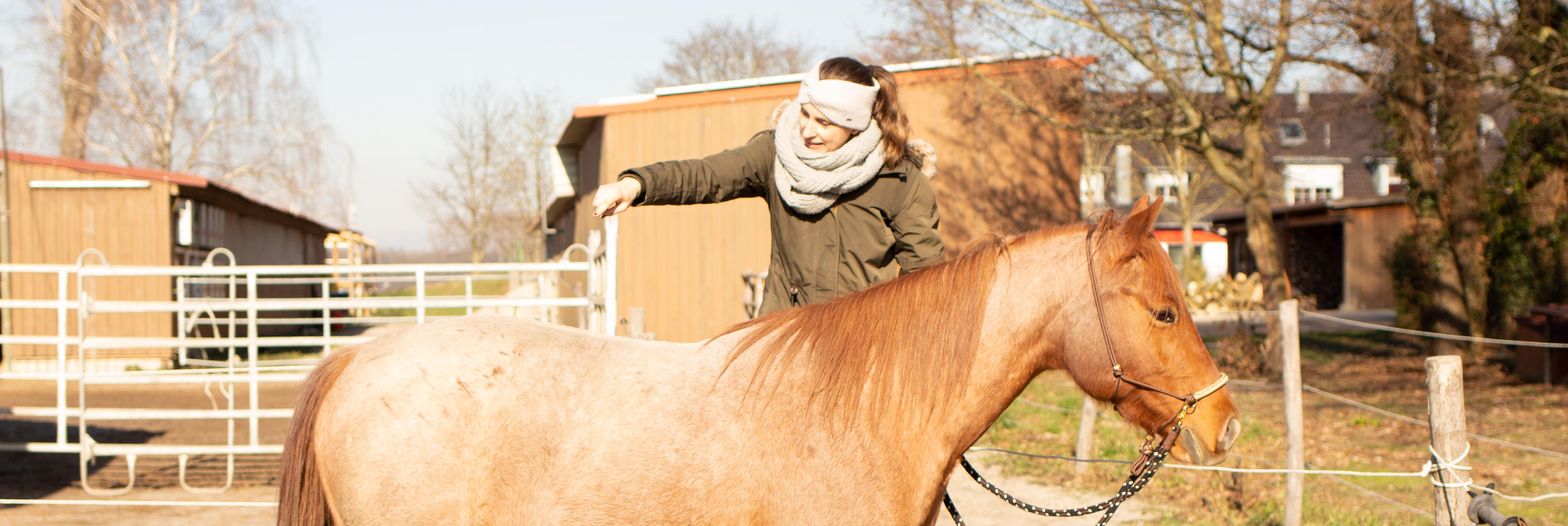 Aufsteigen EInparken Pferd CArey