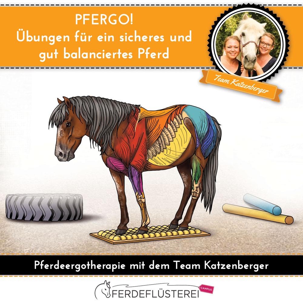 Pferd richtig waschen! Die wichtigsten 10 Schritte 14 Pferd richtig waschen! Die wichtigsten 10 Schritte 12