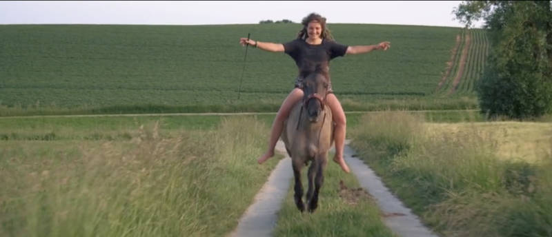 Filmtipp! Magie der Wildpferde 5 Filmtipp! Magie der Wildpferde 5