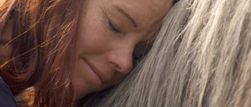 Filmtipp! Magie der Wildpferde 3 Filmtipp! Magie der Wildpferde 3