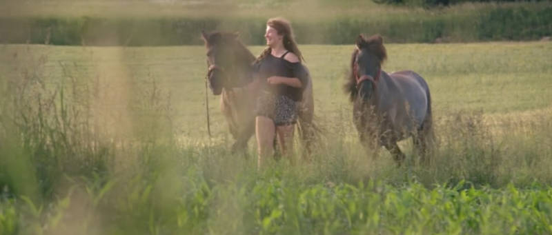 Filmtipp! Magie der Wildpferde 2 Filmtipp! Magie der Wildpferde 2