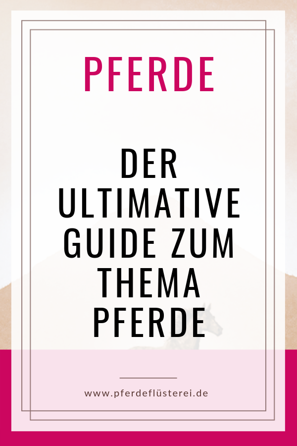 Der ultimative Guide zum Thema Pferde