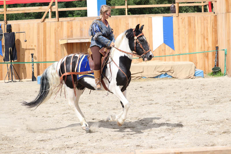 Horsegym! Schnapp dir den Pferde Onlinekurs “Lockerungskurs” für ein gesundes Pferd 3