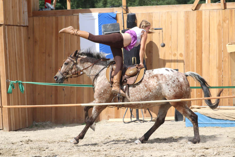 Wie du ein richtig gelassenes Pferd bekommst! Tipps von einer Stuntfrau aus ihrem Training mit Showpferden 3