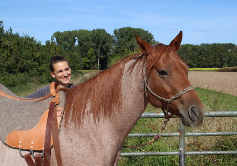 Dressur meets Horsemanship! Oder: wer Clickert darf auch Knotenhalftern 1