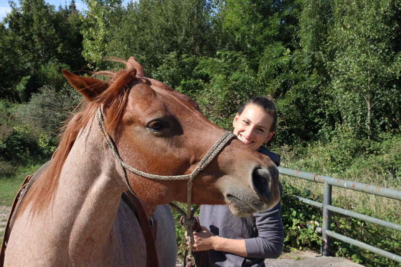 Dein eigenes Pferd - 6 Dinge, die Dir vorher keiner sagt 5