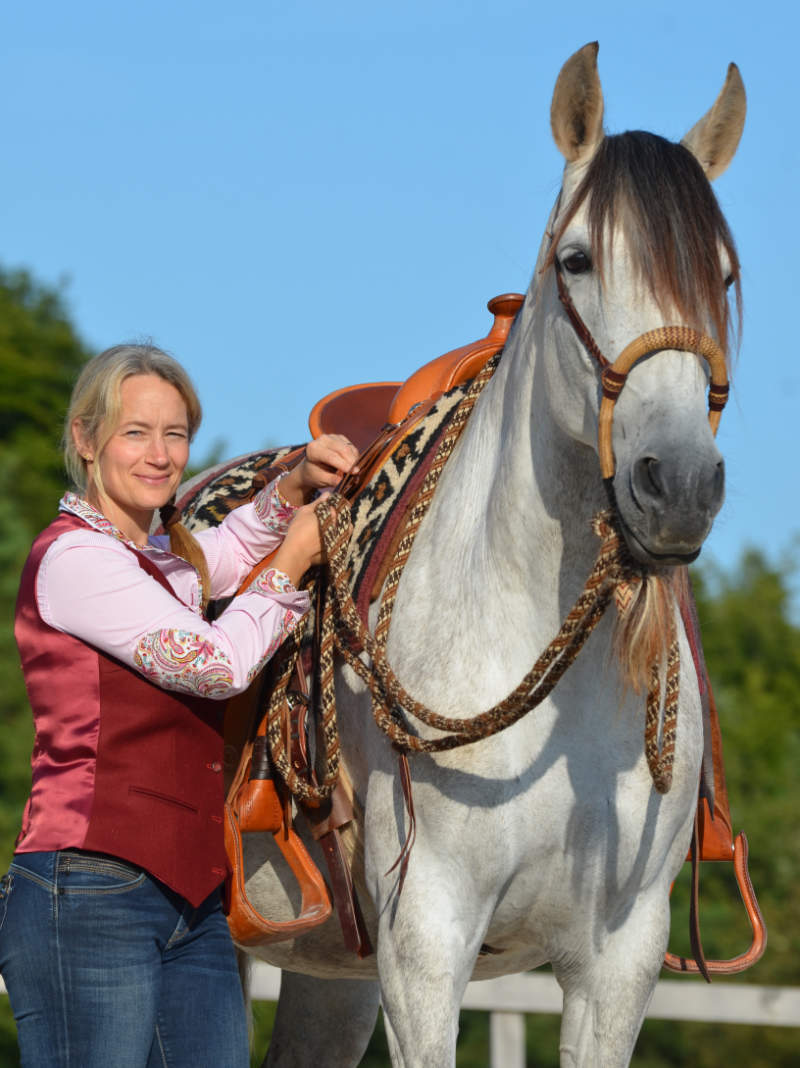 Western & Dressage! Schritt für Schritt zu einem feinen Reitpferd 3