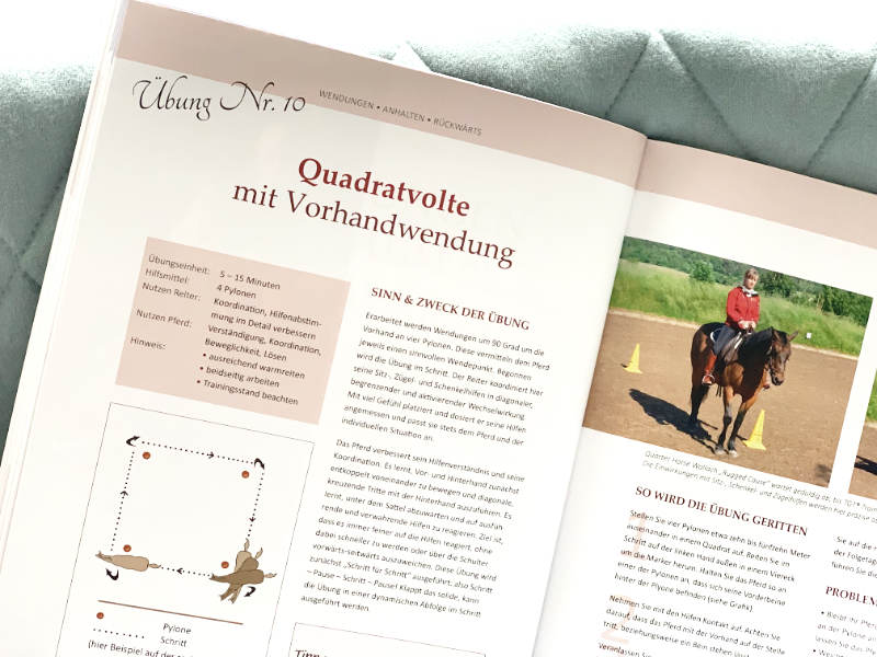 Western & Dressage! Schritt für Schritt zu einem feinen Reitpferd 7