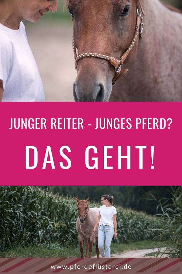 Pferd Kaufen Ohne Erfahrung