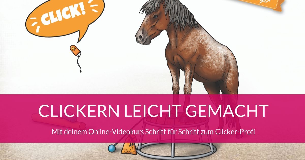 Dressur meets Horsemanship! Oder: wer Clickert darf auch Knotenhalftern 2