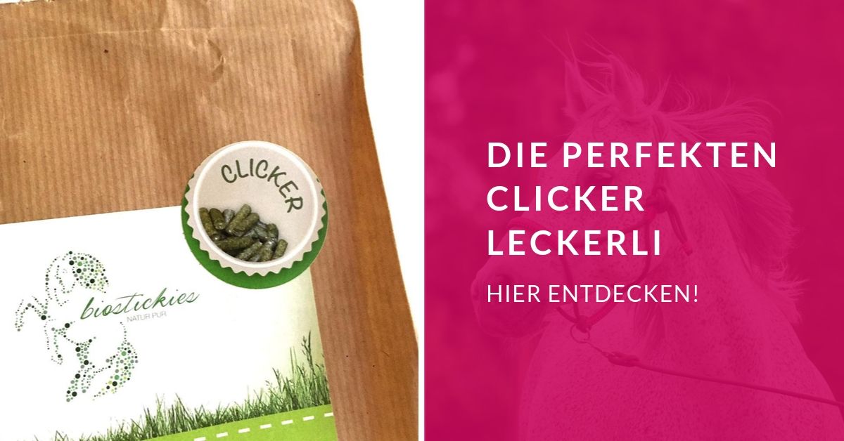 How to Clicker! Wie du erfolgreich Clickern kannst 6