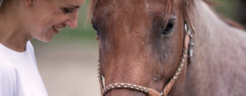 Dein Pferde Blog für Pferdemenschen mit Herz 8