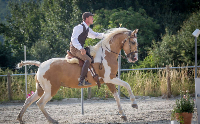 Working Equitation! Für mehr Bindung und Vertrauen 2