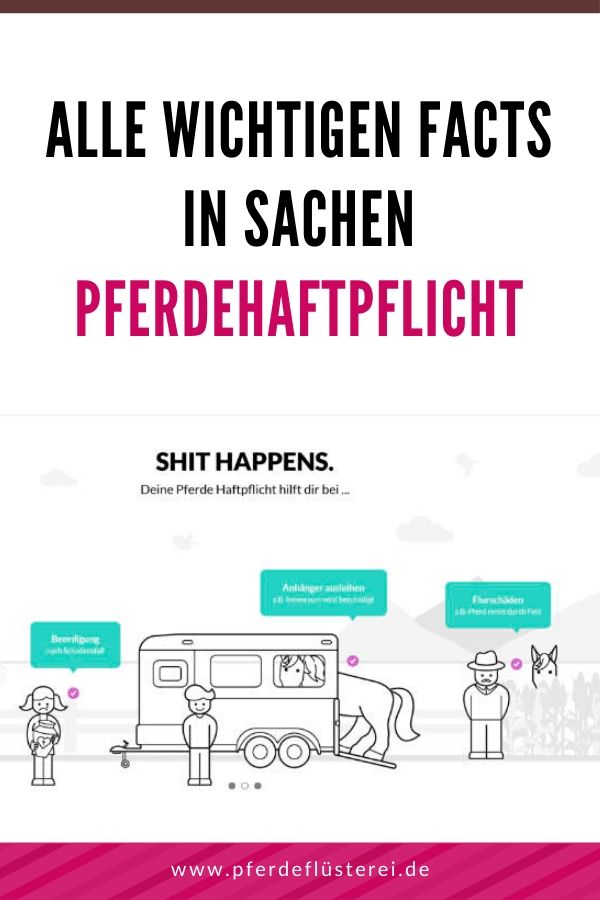 Alle wichtigen Facts zur Pferdehaftpflicht Versicherung 7