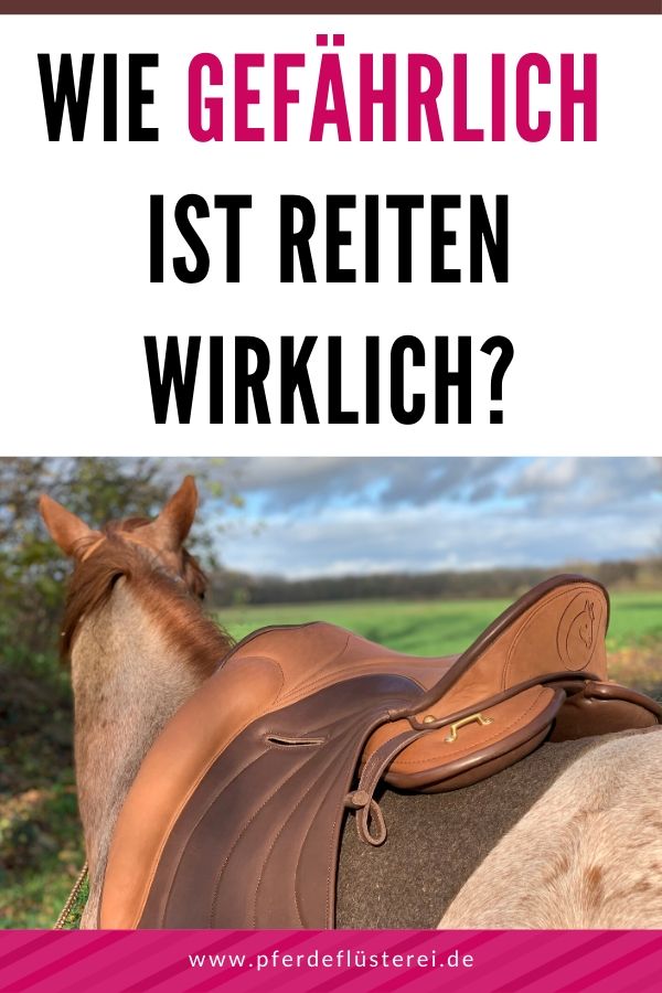 Wie gefährlich ist Reiten wirklich? 7 Wie gefährlich ist Reiten wirklich? 6