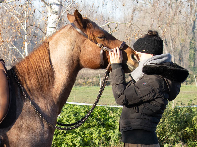 Pferde reiten! Warum das keine Selbstverständlichkeit ist 7