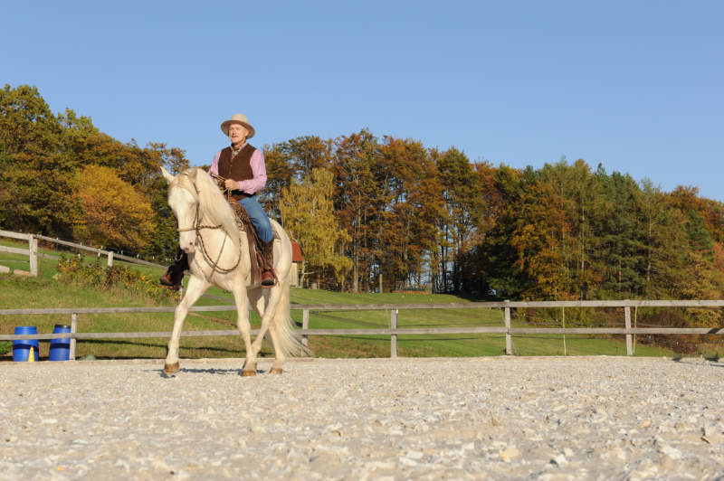 Wie du mehr Harmonie mit dem Pferd erreichen kannst 6