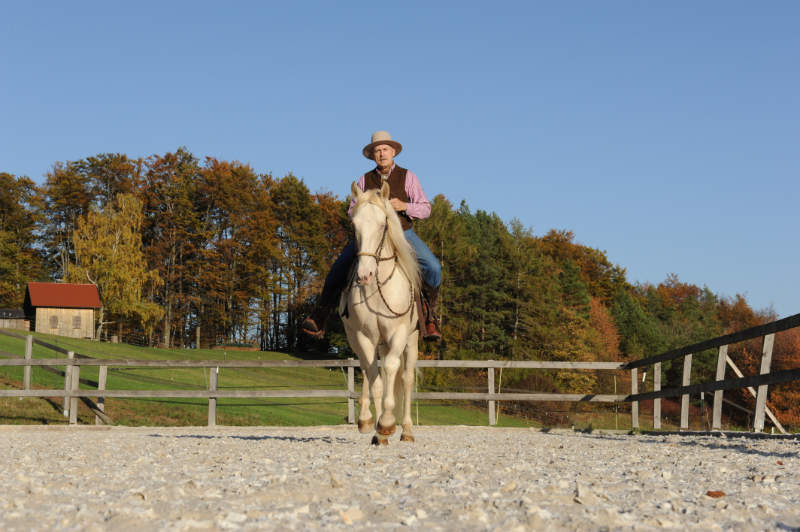 Was einen guten Umgang mit dem Pferd ausmacht 5