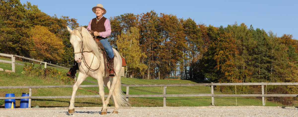 Wie du mehr Harmonie mit dem Pferd erreichen kannst 2