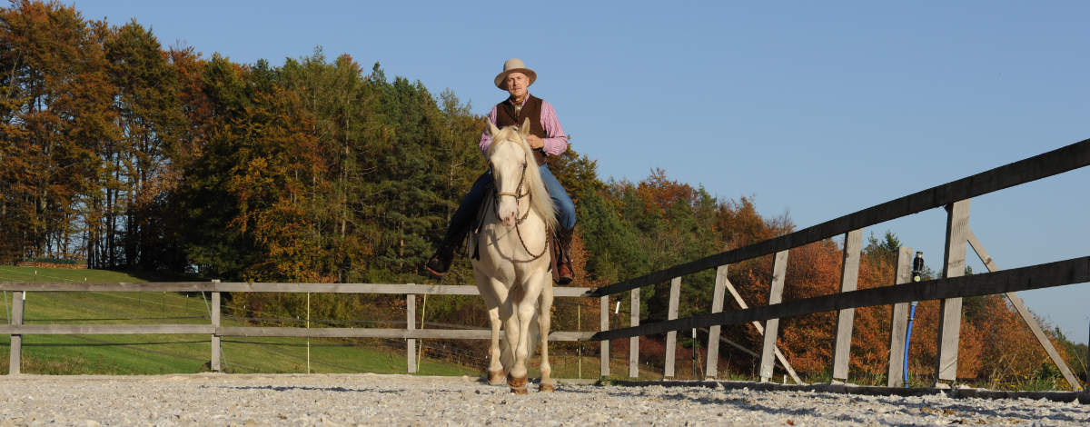 Was einen guten Umgang mit dem Pferd ausmacht 2