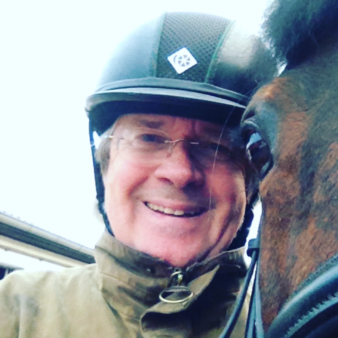 Wie gefährlich ist Reiten wirklich? 17 Wie gefährlich ist Reiten wirklich? 13