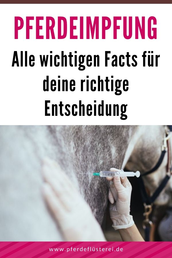 Pferde Impfen! Die wichtigsten Facts 1