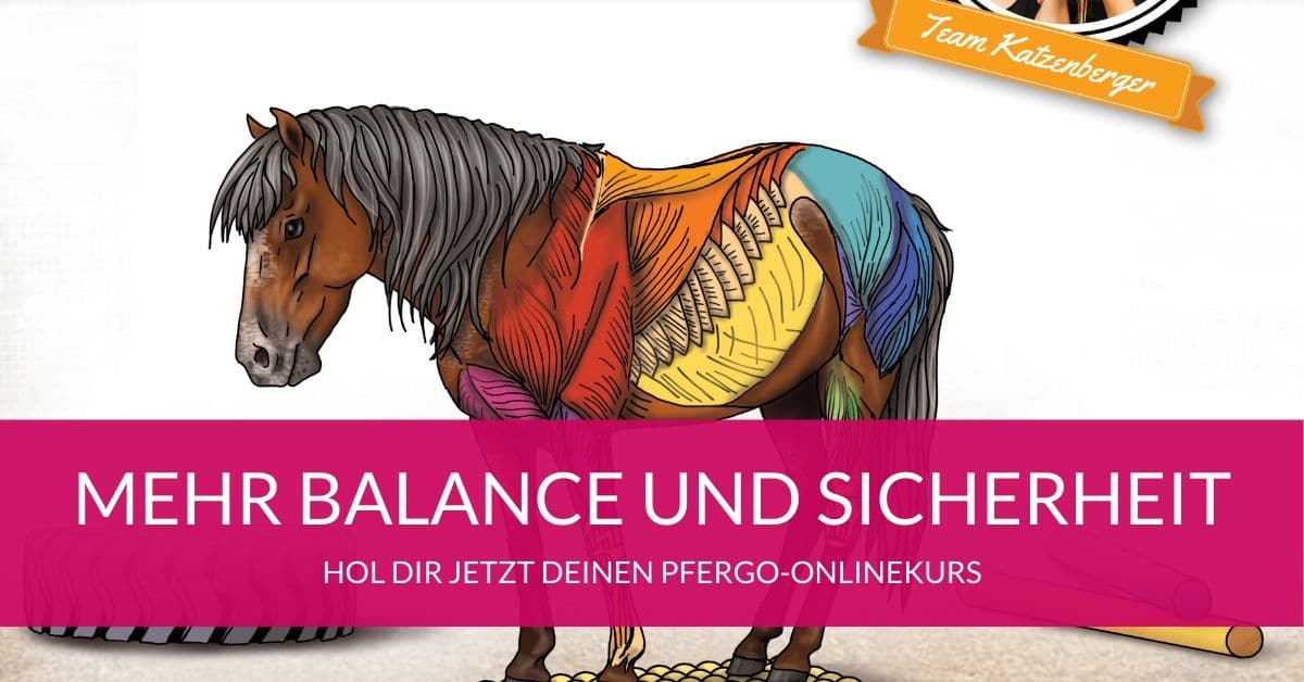 So gewöhnst du dein Pferd entspannt an die Sprühflasche 4